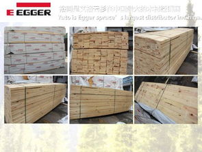 建材原木產業生態鏈 從原木品牌到家具供應的全方位解讀